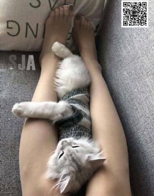 国产吉三代多少钱一瓶_DVD视频大全